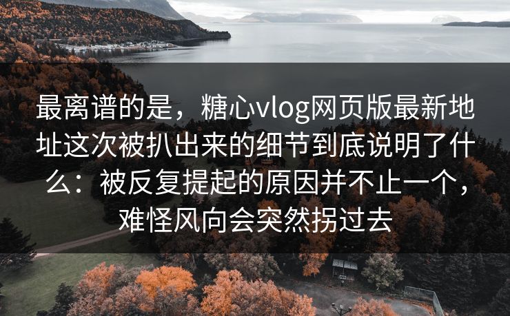 最离谱的是，糖心vlog网页版最新地址这次被扒出来的细节到底说明了什么：被反复提起的原因并不止一个，难怪风向会突然拐过去