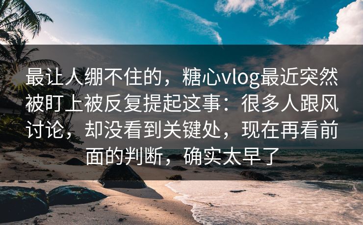 最让人绷不住的，糖心vlog最近突然被盯上被反复提起这事：很多人跟风讨论，却没看到关键处，现在再看前面的判断，确实太早了