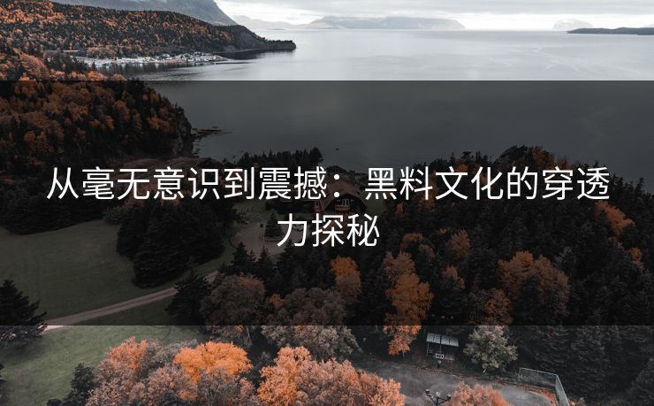 从毫无意识到震撼：黑料文化的穿透力探秘