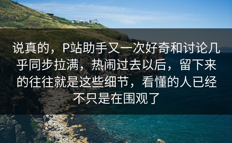 说真的，P站助手又一次好奇和讨论几乎同步拉满，热闹过去以后，留下来的往往就是这些细节，看懂的人已经不只是在围观了