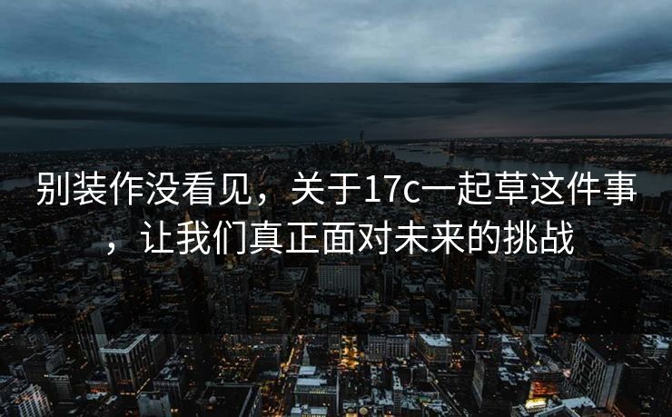 别装作没看见，关于17c一起草这件事，让我们真正面对未来的挑战